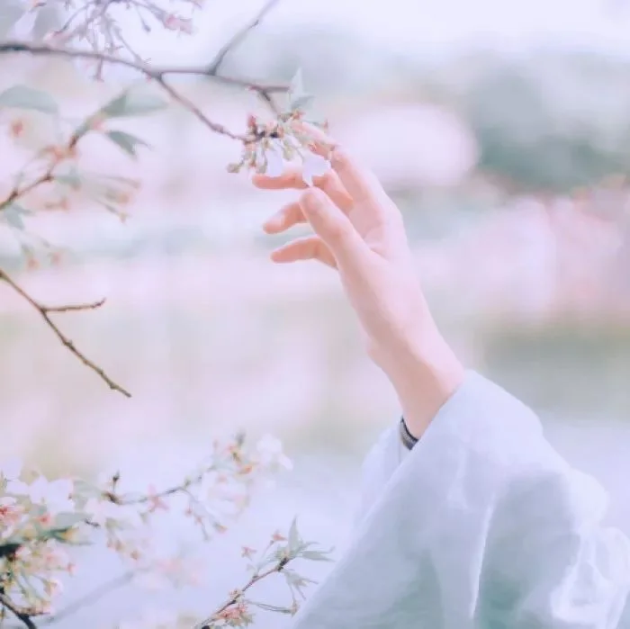 情侣头像丨愿君多采撷,此物最相思