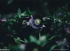 男生qq头像