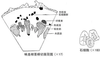 男生头像贴吧