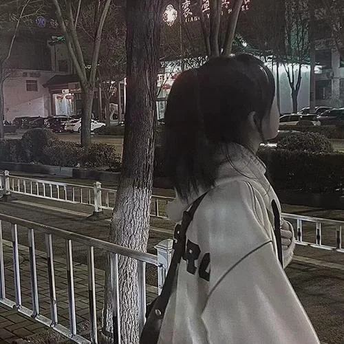 丧系头像女真人