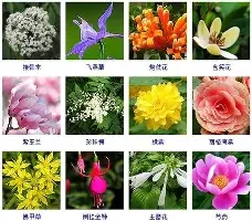 暗黑系头像女