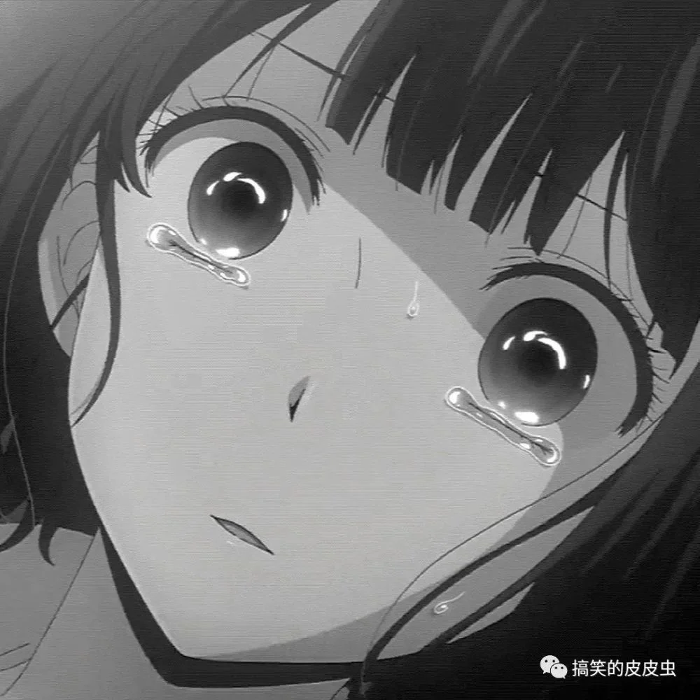 无标题