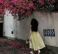 头像女生背影