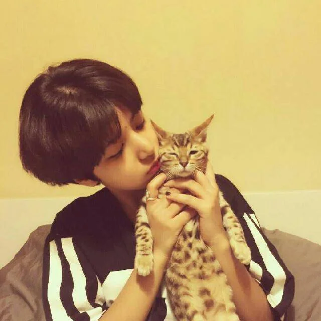 女生头像男生头像 中日韩 小清新 猫猫狗狗 堆糖,美好生活研究所