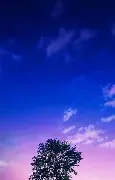 欧美情侣头像