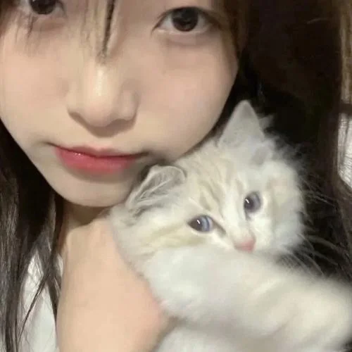 女生和猫的头像森系-女猫森系头像