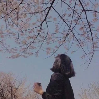 森系头像女生小清新
