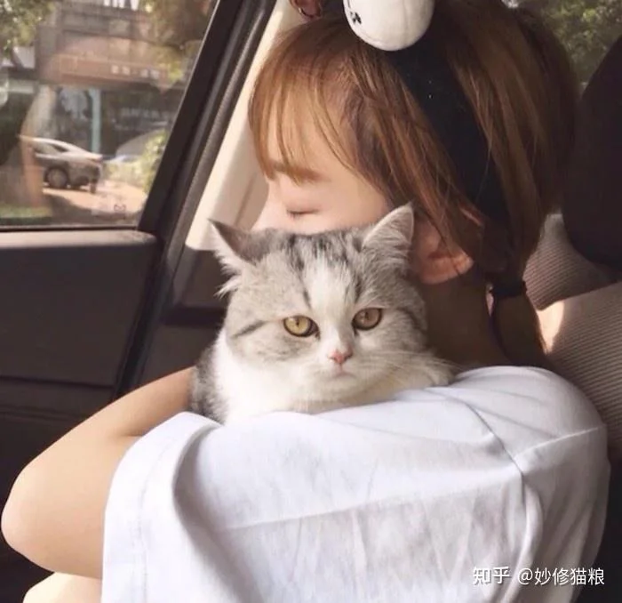 为什么越来越多的年轻人喜欢养猫了 这几点原因太真实了
