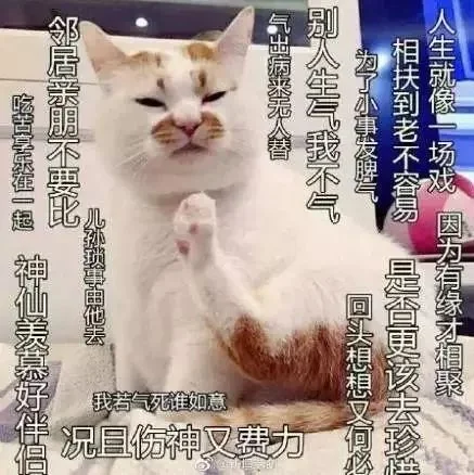 昨天有个人对我说 佛系人生,施主随遇而安 我...