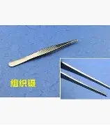 森系头像动漫
