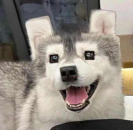 重口味情侣头像
