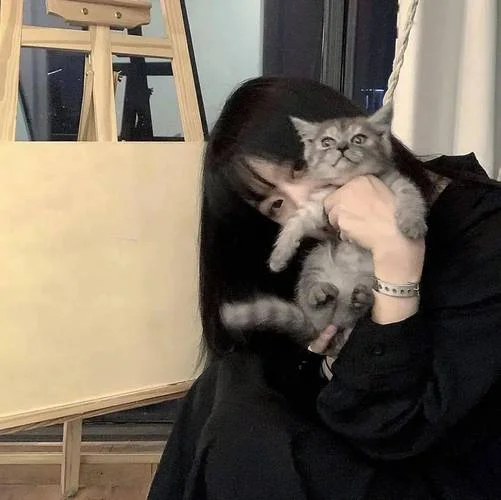 女生和猫的头像森系