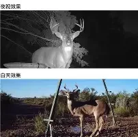 ins风女生头像