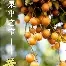 森系小清新男生头像