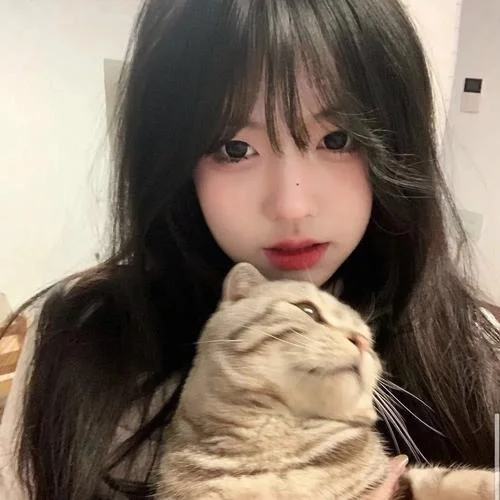 女生和猫的头像森系