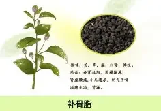 qq头像男生带字