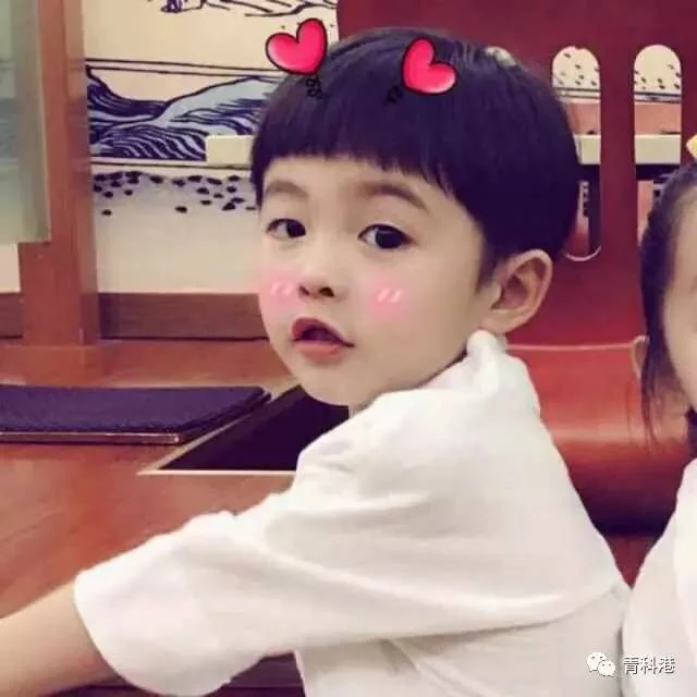 小十七 春风十里,不如学长学姐告诉你
