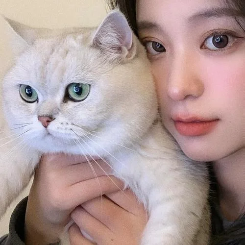 女生和猫的头像森系
