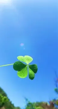 qq头像高清女生森系