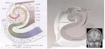 干饭人情侣头像