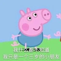 小猪佩奇情侣头像一左一右 微信头像图片大全