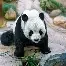 森系闺蜜头像2张