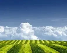 欧美情侣头像