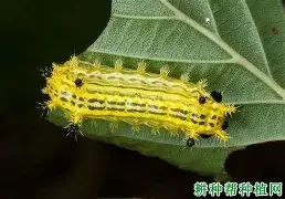 qq头像男生帅气超拽