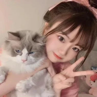 女生和猫的头像森系